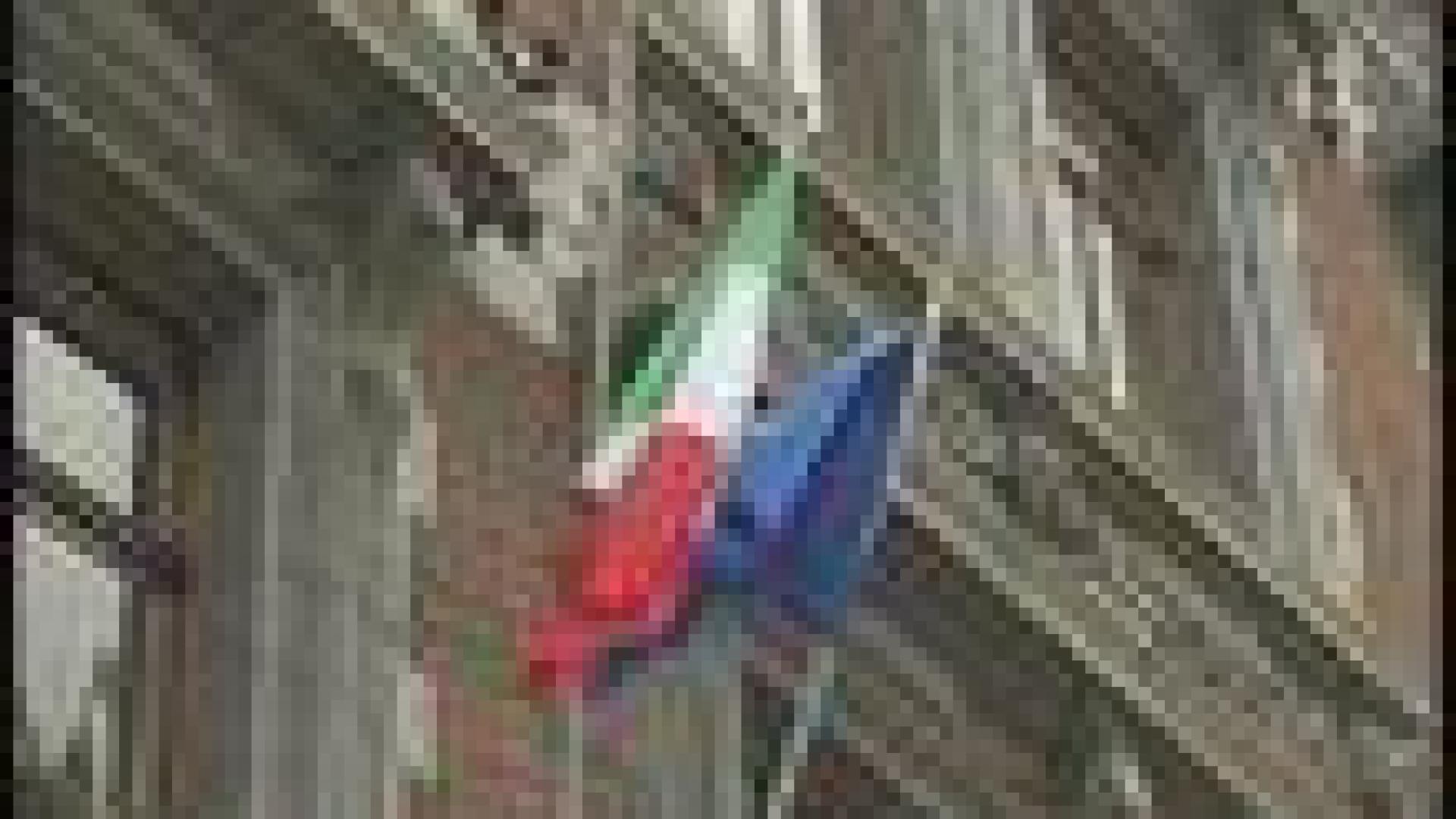Le Consulat d'Italie va fermer